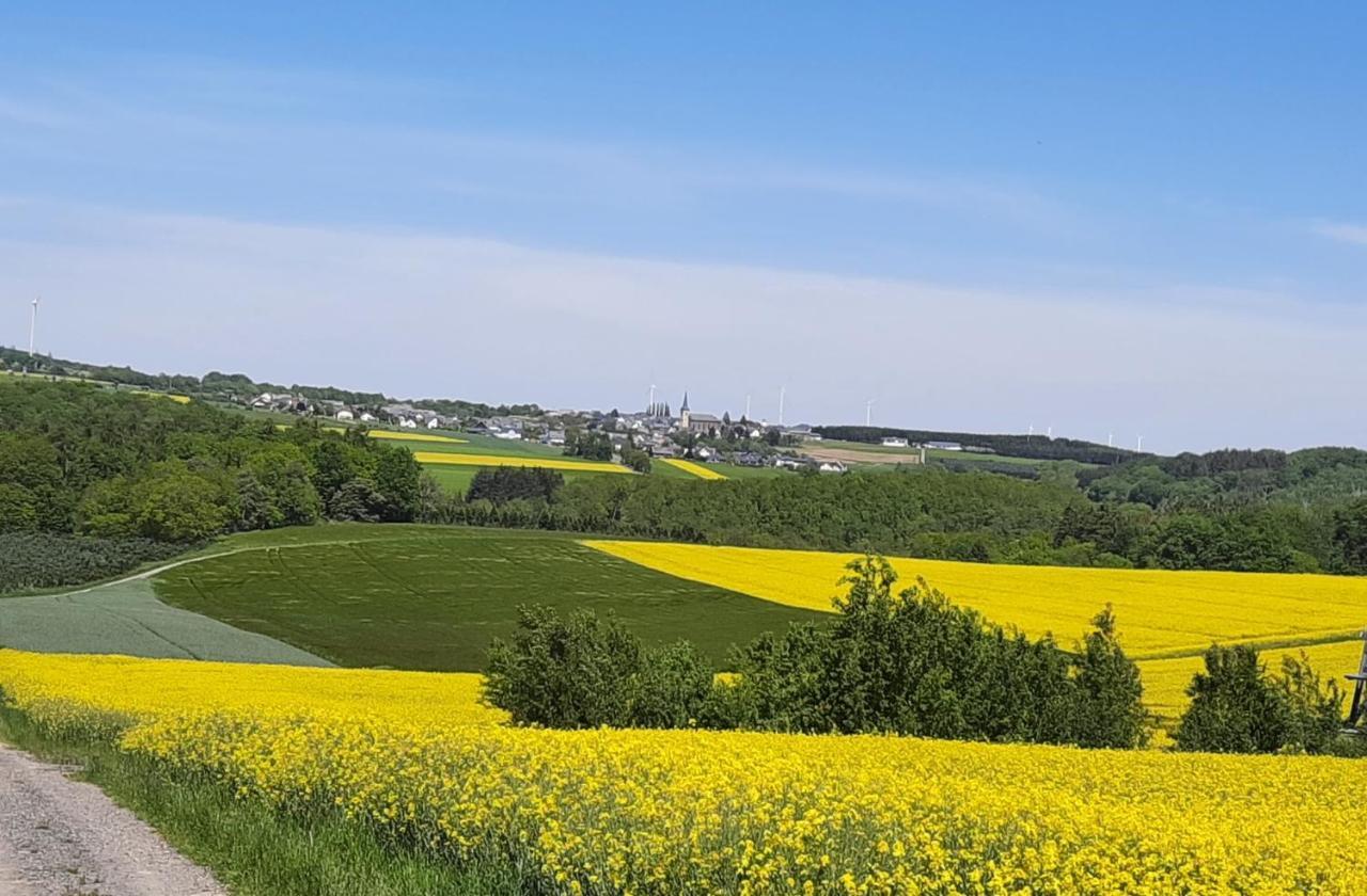 Kleine-Eifel-Auszeit Apartment Hambuch Bagian luar foto